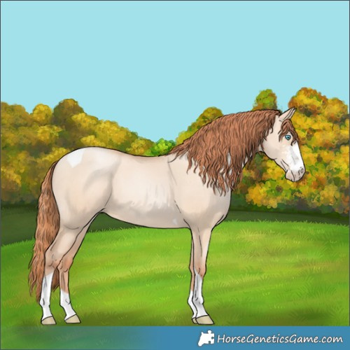 Horse Color:Sable Champagne Pearl Dun Sabino Tobiano 