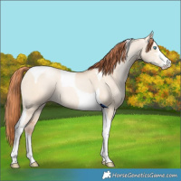 Horse Color:Sable Champagne Pearl Dun Sabino Tobiano