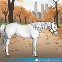 Horse Color:Buckskin Sabino 