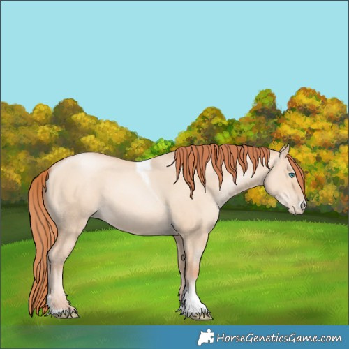 Horse Color:Sable Champagne Pearl Dun Sabino Tobiano 