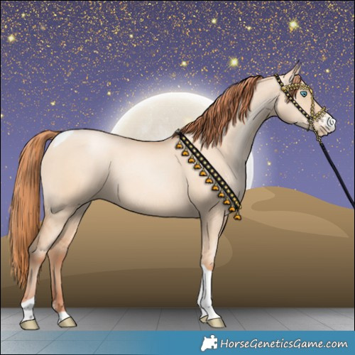 Horse Color:Sable Champagne Pearl Dun Sabino Tobiano