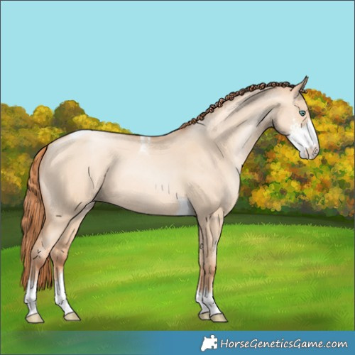 Horse Color:Classic Champagne Pearl Dun Sabino Tobiano