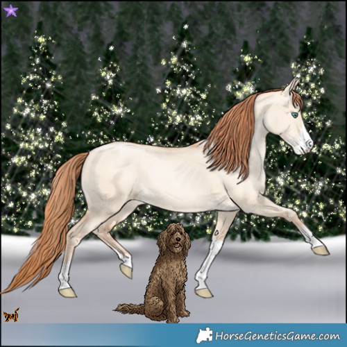 Horse Color:Classic Champagne Pearl Dun Sabino Tobiano