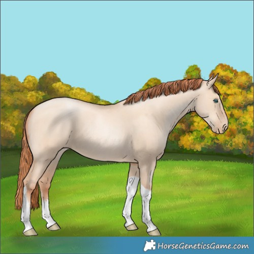 Horse Color:Sable Champagne Pearl Dun Sabino Tobiano