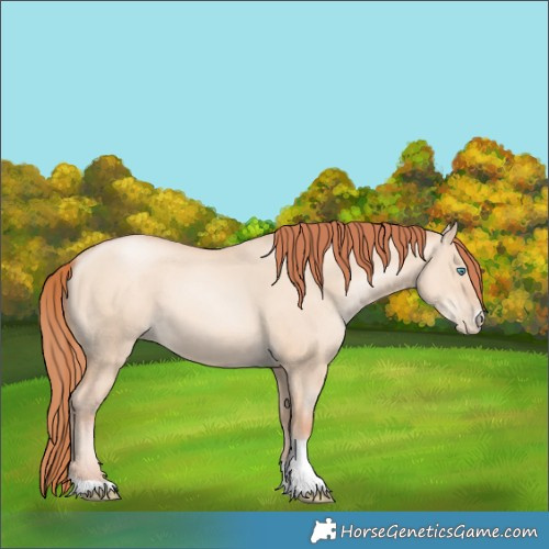 Horse Color:Sable Champagne Pearl Dun Sabino Tobiano 