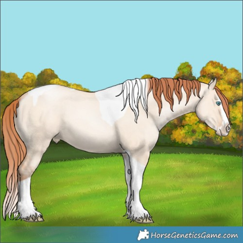 Horse Color:Sable Champagne Pearl Dun Sabino Splash Tobiano 