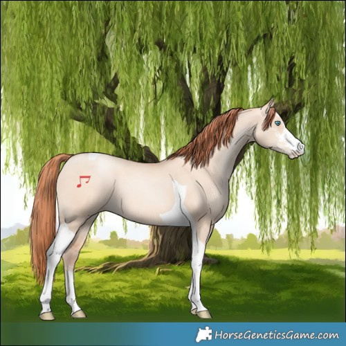 Horse Color:Sable Champagne Pearl Dun Sabino Tobiano 