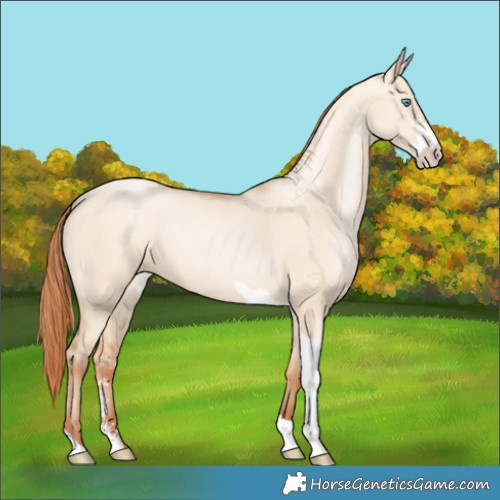 Horse Color:Sable Champagne Pearl Dun Sabino Tobiano