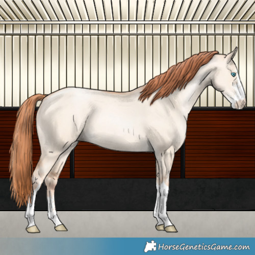 Horse Color:Sable Champagne Pearl Dun Sabino Tobiano 