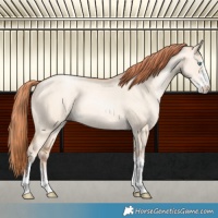 Horse Color:Sable Champagne Pearl Dun Sabino Tobiano