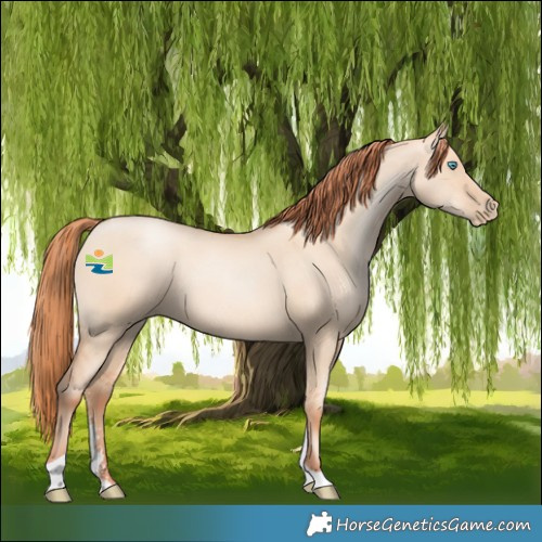 Horse Color:Sable Champagne Pearl Dun Sabino Tobiano 