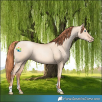 Horse Color:Sable Champagne Pearl Dun Sabino Tobiano