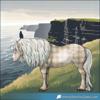 Horse Color:Plaid White Spotted Silver Brown Pearl Dun Sabino