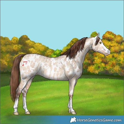 Horse Color:Amber Champagne Dun Appaloosa  and Amber Champagne Dun Appaloosa 