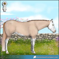 Horse Color:Gold Champagne Dun Splash