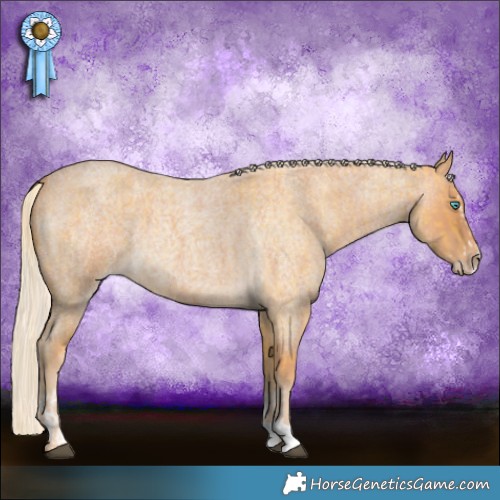 Horse Color:Palomino Roan Splash  and Gray Cremello Roan 