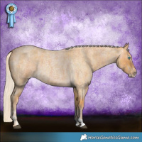 Horse Color:Palomino Roan Splash  and Gray Cremello Roan 