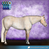 Horse Color:Palomino Roan Splash  and Gray Cremello Roan 