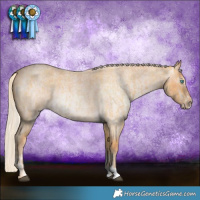 Horse Color:Palomino Roan Splash and Gray Cremello Roan