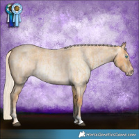 Horse Color:Palomino Roan Splash and Gray Cremello Roan