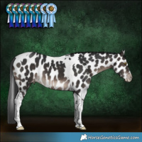 Horse Color:Brown Tobiano Near Leopard