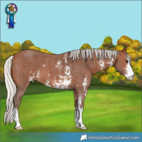 Horse Color:Silver Brown Sabino 