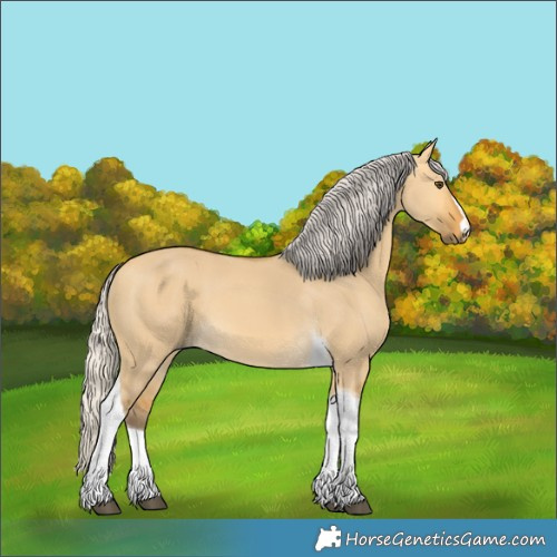 Horse Color:Silver Buckskin Dun Tobiano 
