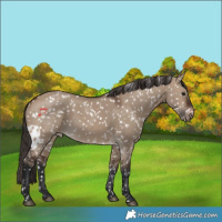 Horse Color:Brown Dun Skewed LP Spotted