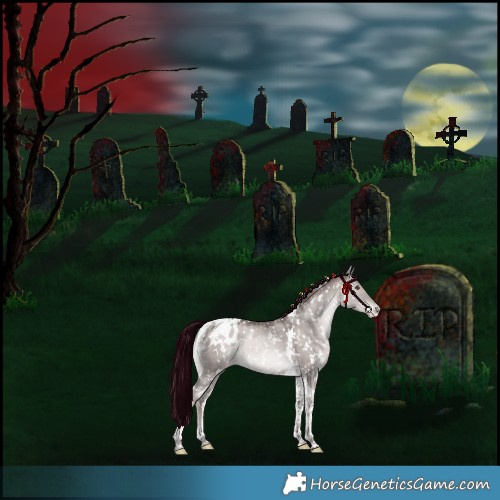 Horse Color:Platinum White Spotted Chocolate Grullo Pearl Mushroom Tobiano Blanket Rabicano 