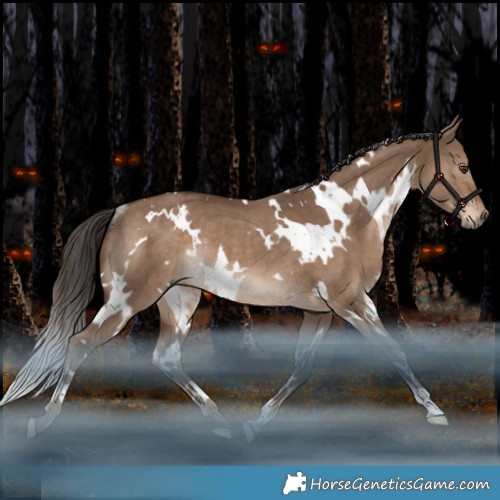 Horse Color:White Spotted Liver Red Dun Rabicano 