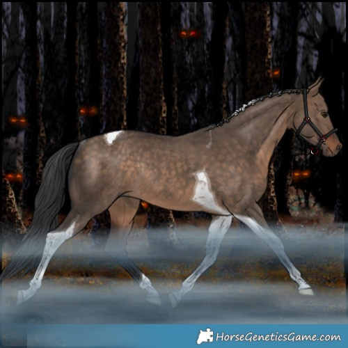 Horse Color:Bay Dun Tobiano Rabicano 
