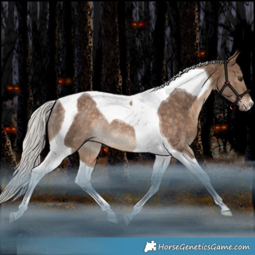 Horse Color:Silver Bay Dun Tobiano Rabicano 