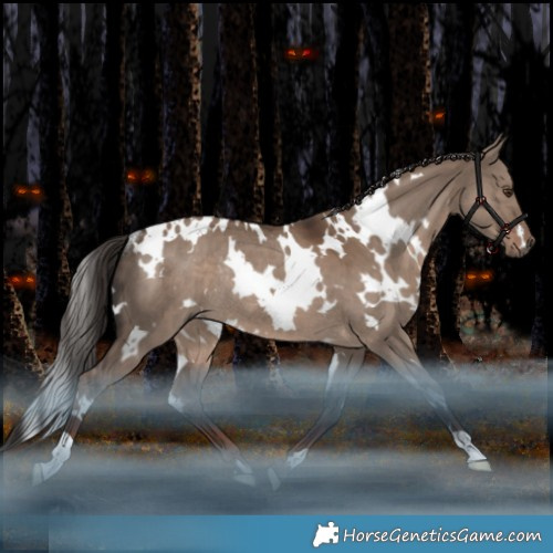Horse Color:White Spotted Liver Red Dun Rabicano 