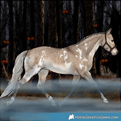 Horse Color:White Spotted Silver Bay Dun Rabicano 