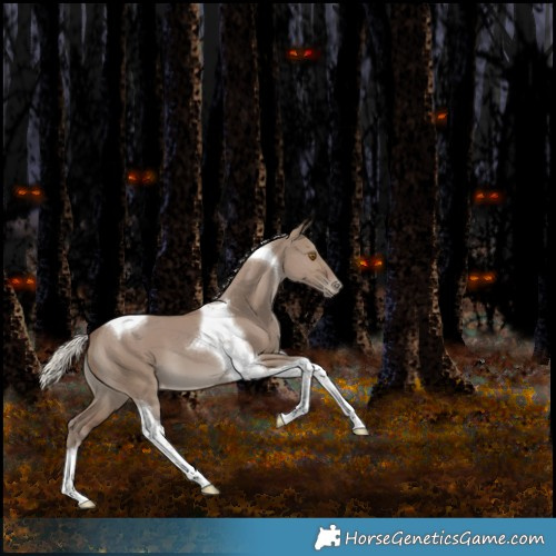 Horse Color:Silver Grullo Tobiano Appaloosa