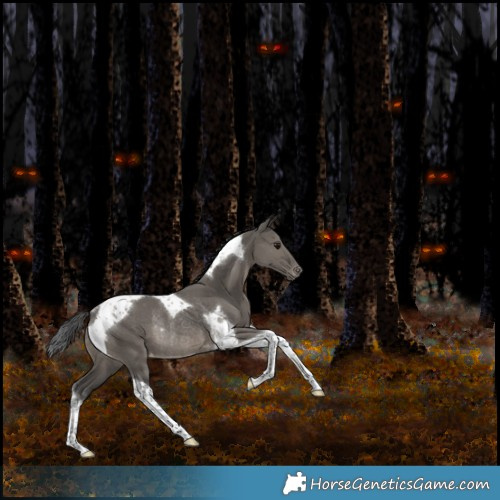 Horse Color:Grullo Tobiano Appaloosa Rabicano 