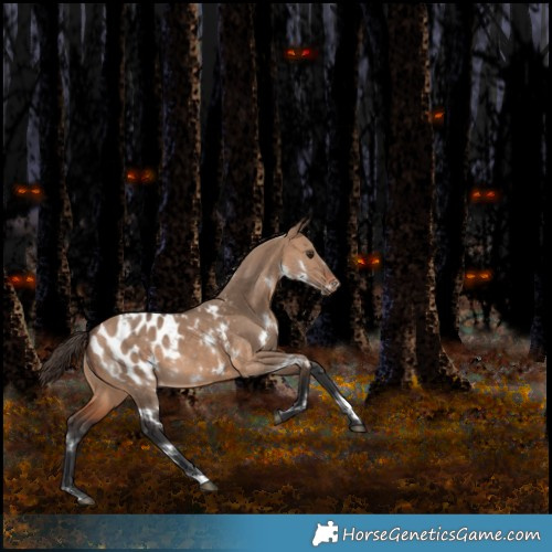 Horse Color:White Spotted Brown Dun Appaloosa Rabicano 