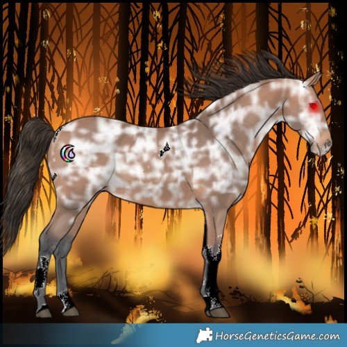 Horse Color:Bay Ice Tobiano 