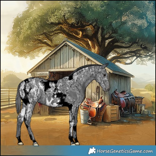 Horse Color:Black Ice Tobiano