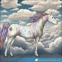 Horse Color:Painted Nacre Silver Bay Ice Tobiano 