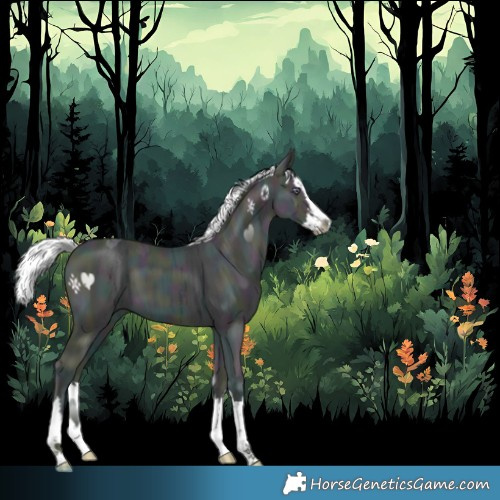 Horse Color:Midnight Chestnut Chinchilla Ice Splash 