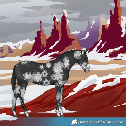 Horse Color:Black Ice