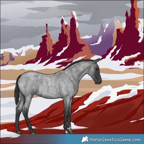 Horse Color:Blue Roan