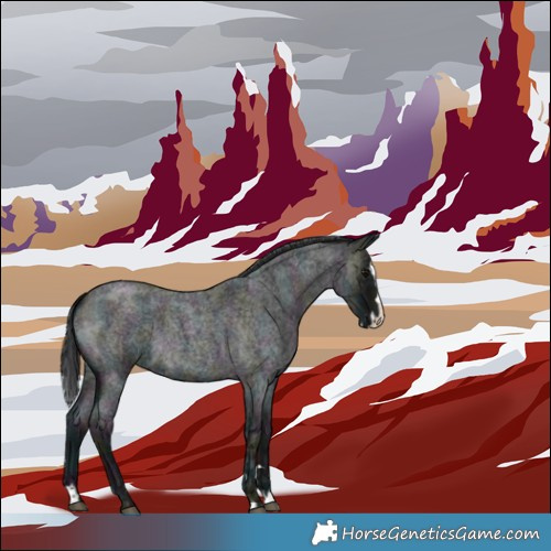 Horse Color:Midnight Blue Ice Roan Splash