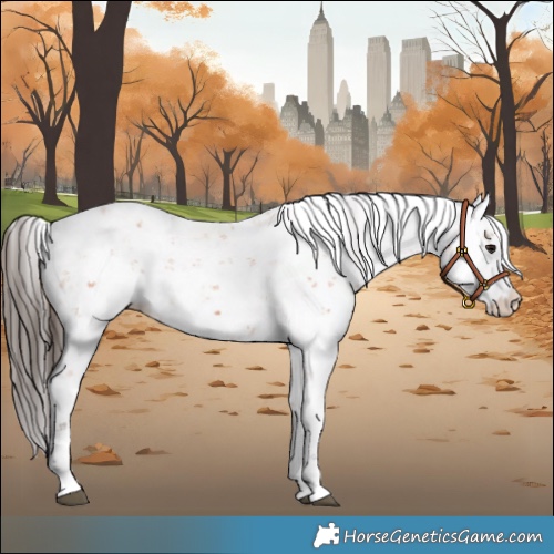 Horse Color:Bay Sabino 