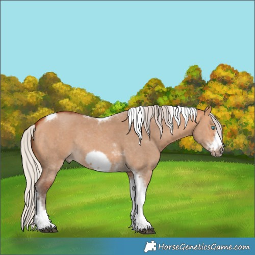 Horse Color:Silver Bay Dun Sabino Tobiano Frame Rabicano
