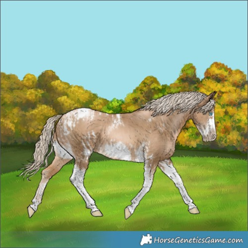 Horse Color:Chocolate Palomino Pearl Tobiano Frame  and Chocolate Palomino Pearl Tobiano Frame 