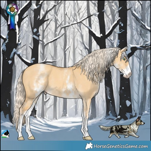 Horse Color:White Spotted Gold Cream Champagne Dun Rabicano 
