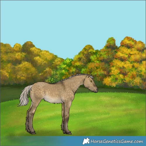 Horse Color:Silver Buckskin Dun Rabicano 