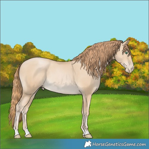 Horse Color:Smoky Black Pearl Rabicano 